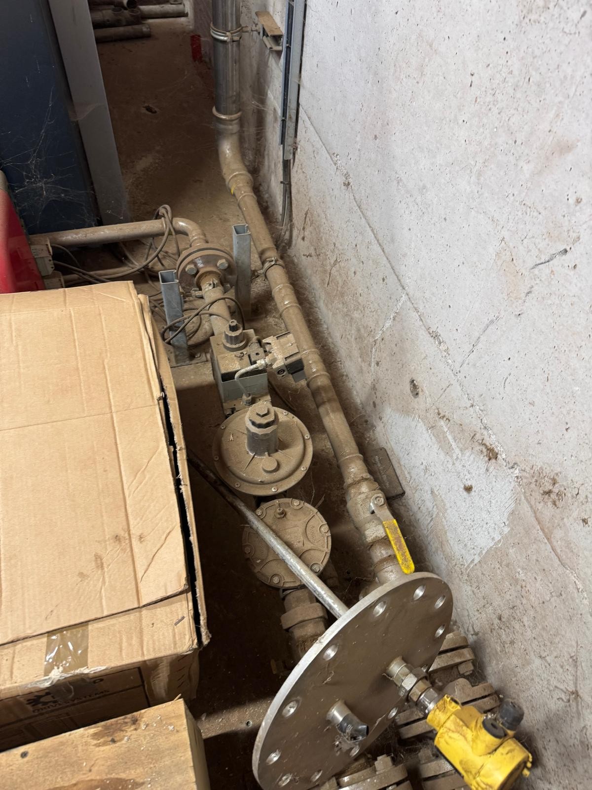 Biogas Boiler package 270kW - Viessmann Vitoplex 200 and Riello Burner with booster - Image 3